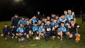 Longford Slashers complete county hurling championship clean sweep
