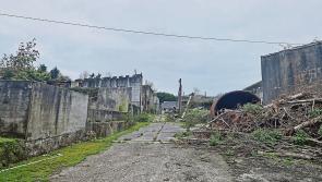 ' A hellhole': Disused Longford piggery has created hell for people who live in the area