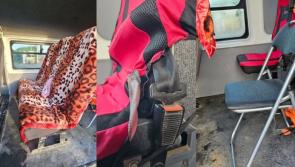 Nobody wearing seat belts in 'death trap' van, Tullamore Circuit Court hears