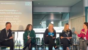 Sustainability and biodiversity workshop in Longford's EDI Centre