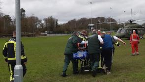 Lifesavers: Emergency services taking part in Midlands St Patrick's Day parade help resuscitate woman 
