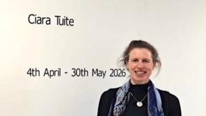 Talented Longford artist's new role as mother inspired some work in  fifth solo exhibition