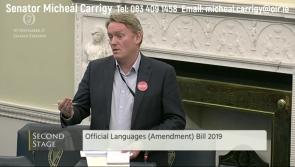New site for Gaelscoil Longfoirt 'long overdue'