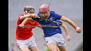 Longford's bid for Lory Meagher Cup hurling glory foiled by superior Louth 