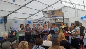 WATCH | Looney Tuners have crowds 'Carlowfornia dreaming' at the Ploughing 