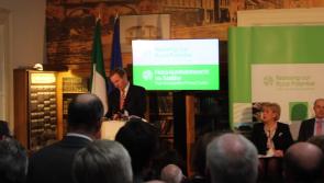 Video: Ballymahon and Longford set to benefit from Action Plan for Rural Development