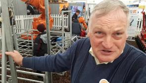 Longford inventor Vincent Kiernan from Granard  showcases his new KO Sheep Handler at the Ploughing Championships 2017 
