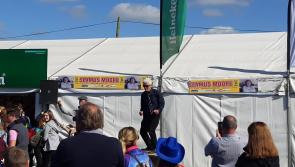 WATCH | Pubs hopping at the Ploughing as one man rips it up in the sunshine