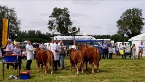 WATCH| There's no show like the Longford Agricultural show