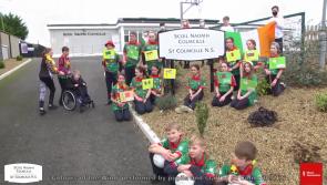 WATCH |  Longford school pupils and staff raise over €9,000 for autism class with inspiring performance of 'Colours of the Wind'
