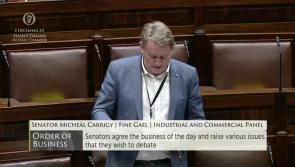 Forestry industry in Longford will grind to a halt and jobs are being put at risk unless backlog in appeals is tackled 
