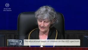 WATCH | Flaherty seeks extension for gas line to Longford and Edgeworthstown