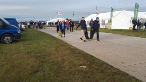 WATCH: The crowds arrive early for the National Ploughing Championships in Tullamore