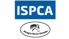 Longford animal welfare charities receive over €1 million in funding