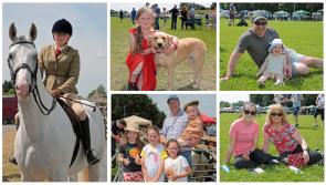 PICTURES | Beautiful sunshine and top class entertainment at  71st Granard Agricultural Show