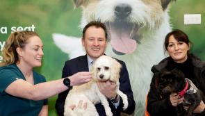 Flaherty welcomes allocation of  over €1m for Longford animal welfare charities 