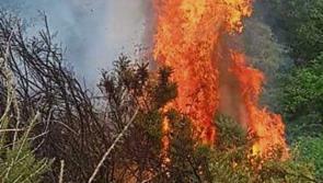 Department issue 'Condition Orange High Fire risk' notice