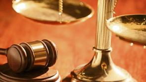 Strokestown farm injunction application wont be heard this month Judge says