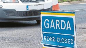 'Too many families have suffered' - Gardaí in appeal after multiple fatal crashes
