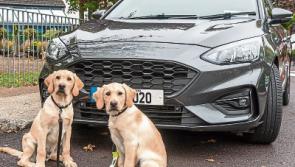 Ford raffle for Irish Guide Dogs