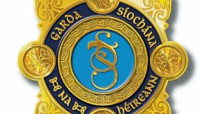 Garda hospitalised following hit and run traffic incident