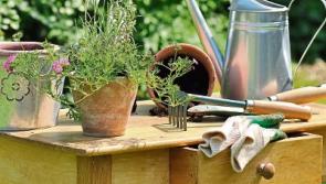 In The Garden with Jo: May in the garden