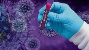 Number of Covid-19 cases recorded in Longford in the past fortnight 