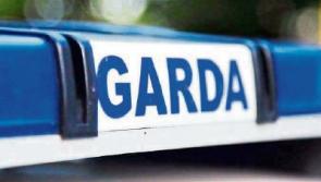 Living like kings - seizure of jewellery, drugs, cash, Dubai deeds  during Garda's Operation Coronation