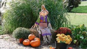 All Things Interior: Boo-tiful Halloween décor