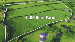 Land sells for &euro;20,000 an acre as six people bid