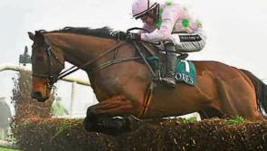 THE PUNTER'S EYE: Cheltenham Day 4 Preview 