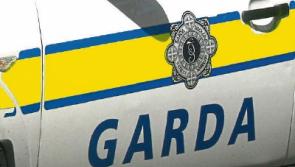 Five held after major Garda search operation in Ballymahon