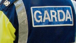 Gardai seize suspected stolen vehicles after searches in Granard, Longford, Cavan and Tallaght