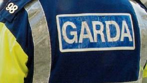 Garda&iacute; in &euro;10k Edgeworthstown drugs haul