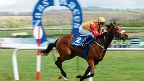 THE PUNTER'S EYE: Four horses that can 'Power' through the weekend 