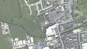 Regeneration plans sees Longford host two day event