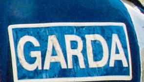 Two held as gardai make burglary breakthrough in Longford town