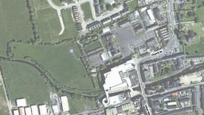 Groups interested in regeneration project