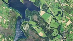 Felling of trees at Castleforbes forest has resumed