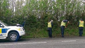 Gardaí continuing to carry out  searches in Cavan as part of investigation into Kevin Lunney assault