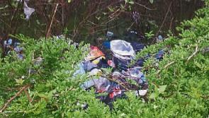 Illegal dumping in Edgeworthstown