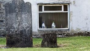 John Butler exhibition at Backstage Theatre inspired by John McGahern