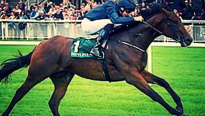 THE PUNTER'S EYE: Three horses that could make you a fortune this weekend 