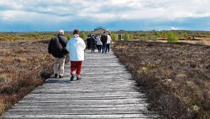 Visitor numbers to Longford tourist hotspot show marked increase