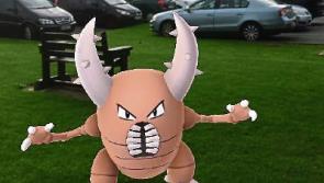 Longford landmarks become Pok&eacute;stops