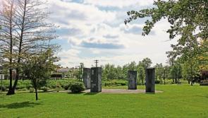 Cllr suggests acquiring new land for Longford's Mall