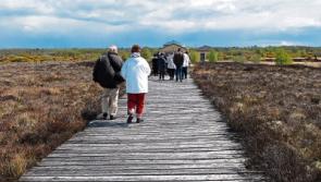 Longford to look back on 100 Years of Heritage