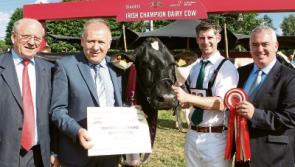 Killashee breeder wins top award