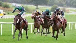Cheltenham Results - Day 3 Results from Cheltenham