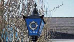 Longford Gardaí appeal for information in wake of thefts